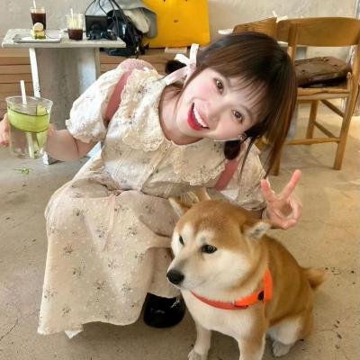 芙蓉仙子